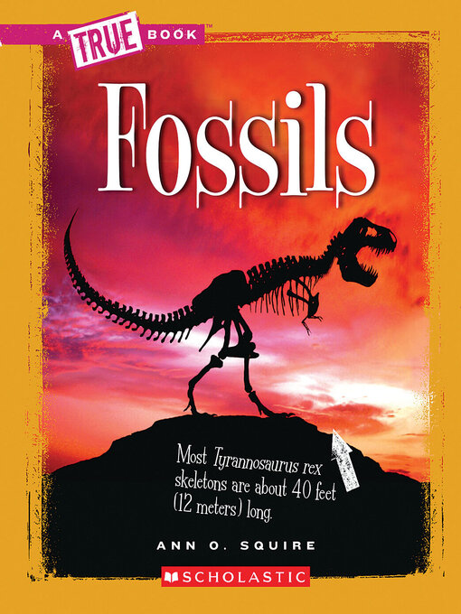 Title details for Fossils by Ann O. Squire - Wait list